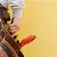 Handyman repair service in Des Moines, IA for home fixes and improvements